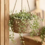 🔥 Cesto Vaso Cachepo De Palha Decorativo Sala Varanda Jardim Cor Palha Natural - Imagem 4