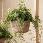 🔥 Cesto Vaso Cachepo De Palha Decorativo Sala Varanda Jardim Cor Palha Natural