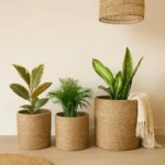 🔥 3 Cestos Organizador Rusticos Decoração Sala Quarto Liso Vaso Cachepot Palha Natural P M G Decora Ambiente Boho Cesta Com Proteção Multiuso Organização Decorativo Plantas Artificiais Ou Naturais - Imagem 2