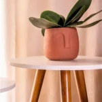 🔥 Kelan Kit Com 2 Mesas Redonda Retro Apoio Decorativa Porta Livros Blanco