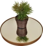 🔥 Mesinha Lateral Decorativa Festa Apoio Sofa Cama Ferro 60 Cm Cor Dourado - Imagem 3