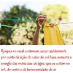 🔥 Kit 48 Pregadores De Roupa Varal + 1 Cesto Porta Prendedor - Imagem 3