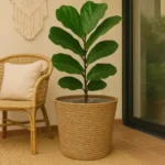 🔥 Cesto Decorativo De Palha Natural Cachepo Grande Decoração Ambiente Chic Boho Vaso Rustico Cachepot Fibra Natural Com Revestimento Interno Cesto Para Plantas Multiuso Organiza E Decora Ambientes - Imagem 3